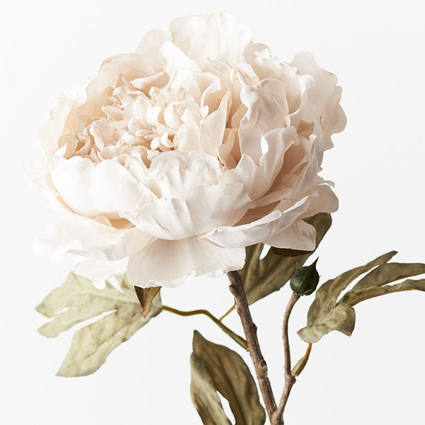 Peony Celeste 64cm / Ivory