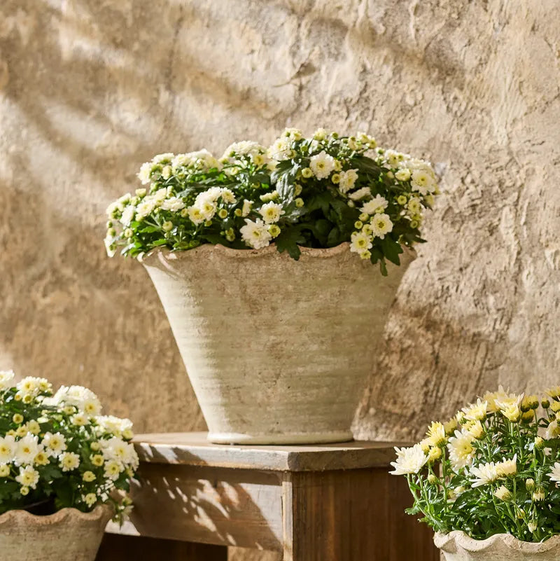 wavy plant pot Wavy Planter Pot / Large – Home Goods Hardware
