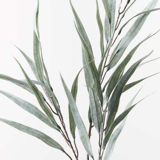 Eucalyptus Long Leaf Spray 78cm / Grey Green