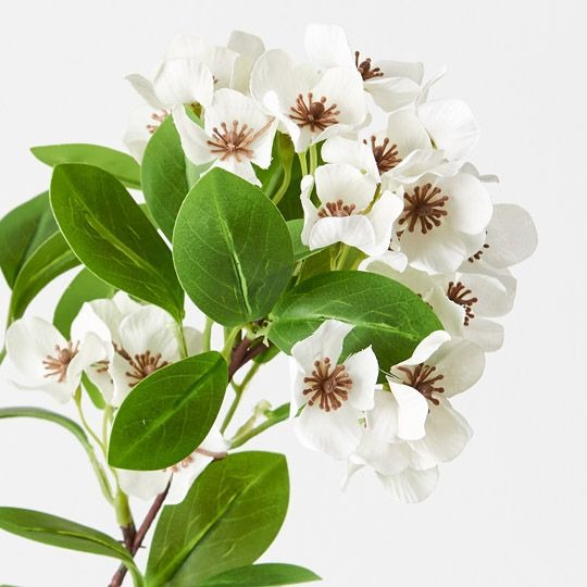 Snow Flower Spray 80cm / White