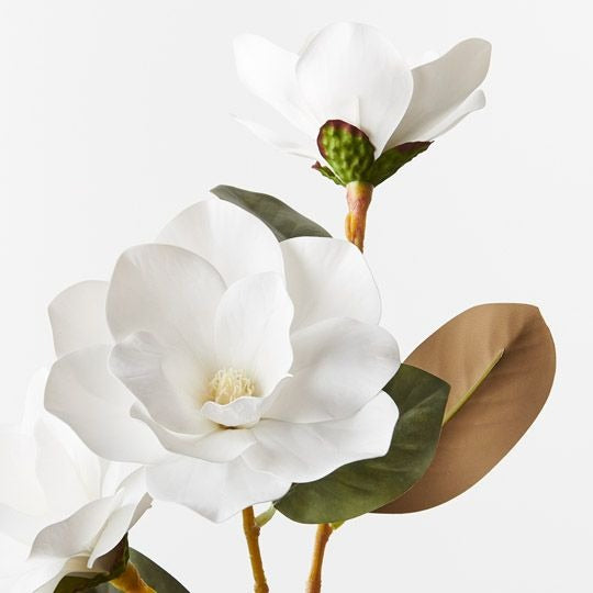 Magnolia Spray 76cm / White