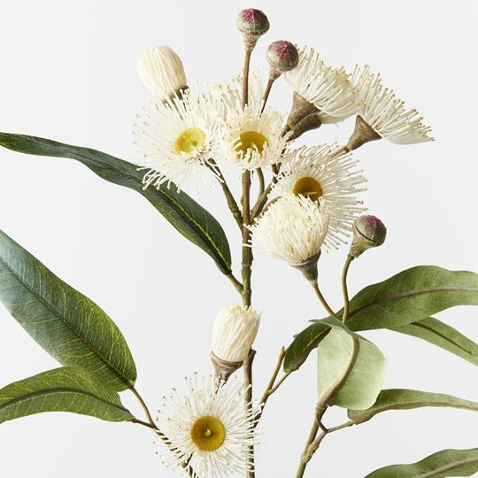 Eucalyptus Flowering Spray 76cm / White