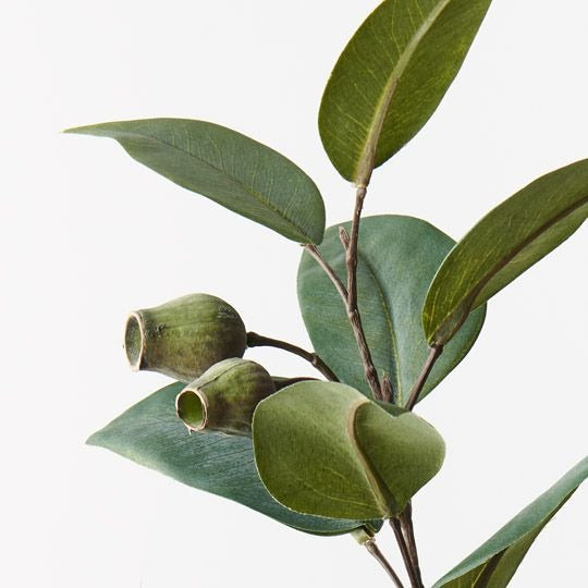 Eucalyptus Gum Nut Spray 61cm / Green