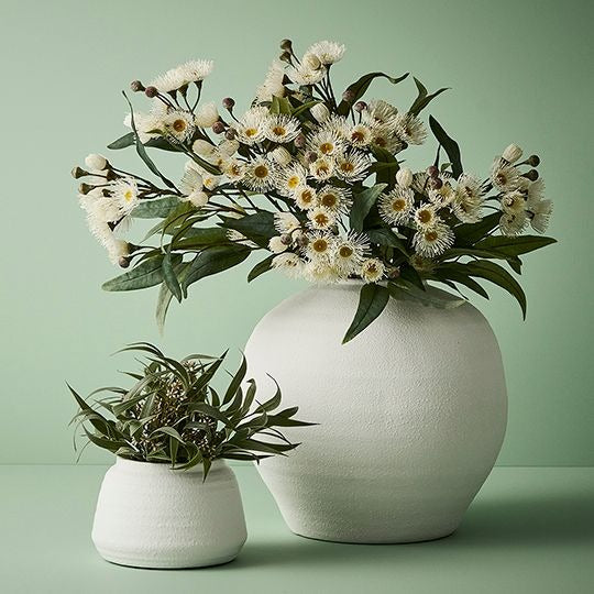 Eucalyptus Seed Bush / Grey Green 30cm