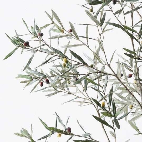 Olive Tree 213cm / Grey Green