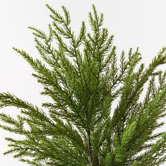 Pine Cypress Spray 66cm / Green
