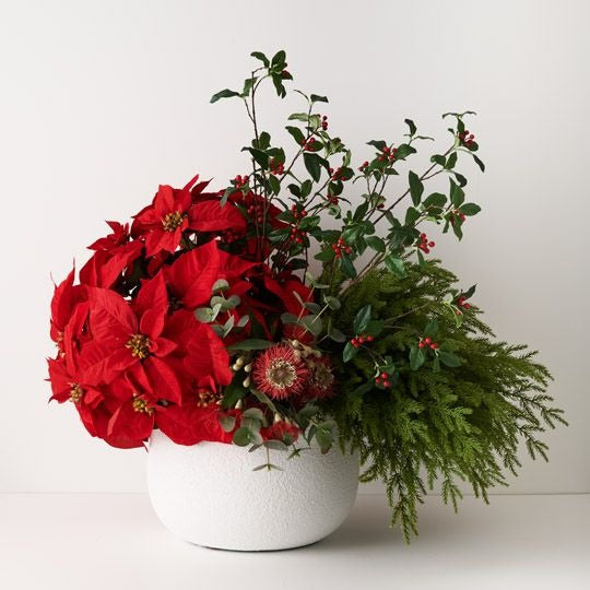Pine Cypress Spray 66cm / Green
