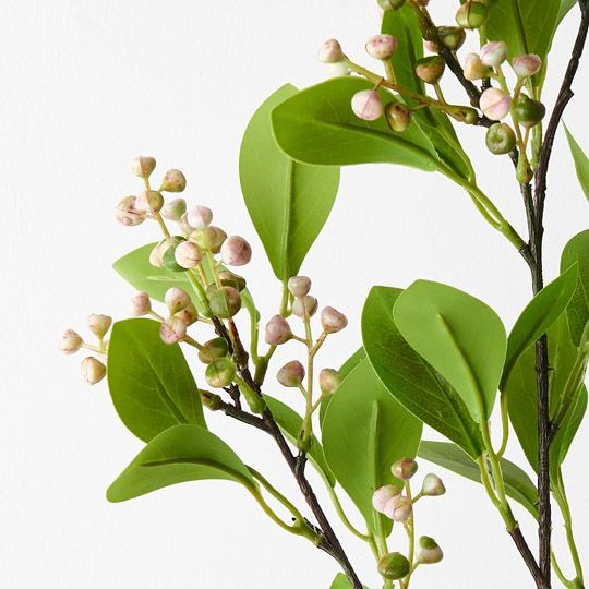 Seed Spray / Pink Green