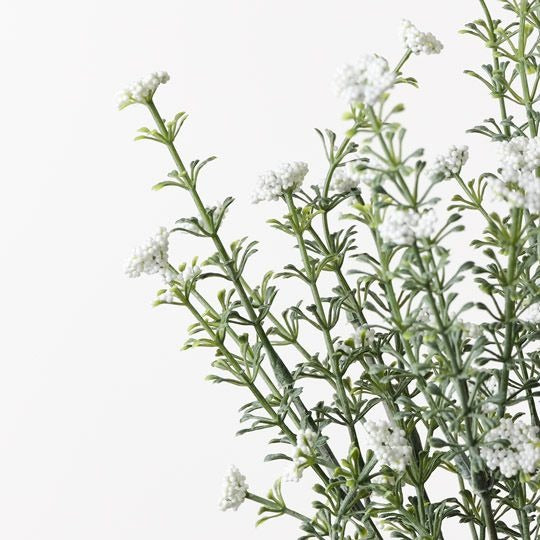 Berry Flowering Bush 36cm / White