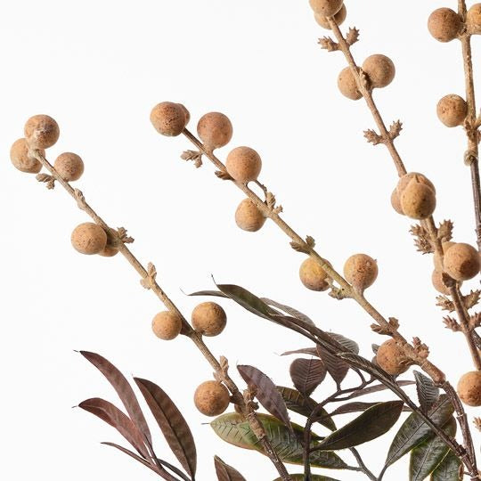 Longan Spray 74cm / Natural