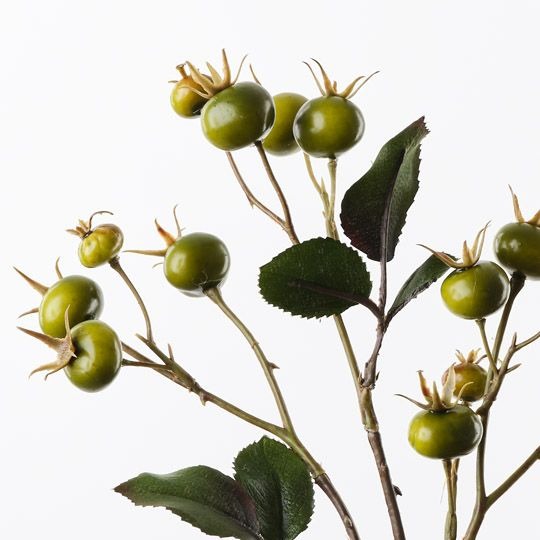 Rosehip Spray 66cm / Green