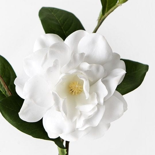 Gardenia Spray 31cm / White