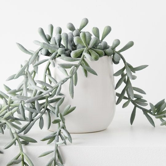 String of Bananas Pot 55cm / Grey Green