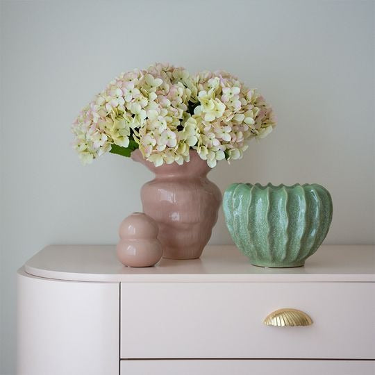 Hydrangea Bush 50cm / Cream Pink