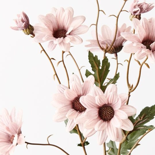 Daisy Spray 68cm / Dusty Pink