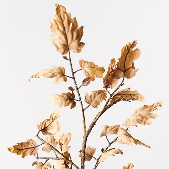 Perilla Leaf Spray 89cm / Almond