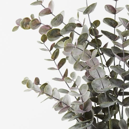 Eucalyptus Bush Pot 53cm / Grey