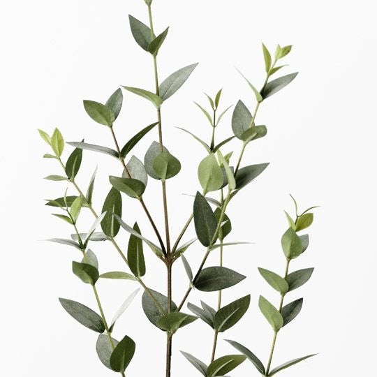 Eucalyptus Mini Leaf Spray 91cm / Grey Green