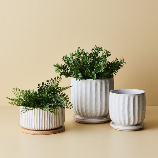 Pot Clovelly w/saucer White 12x12