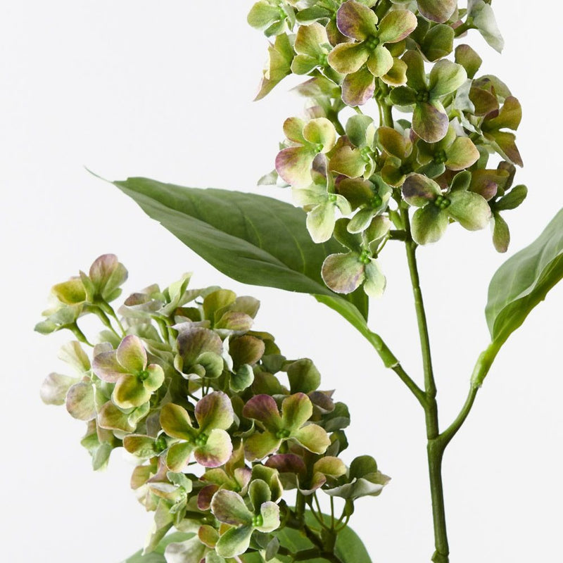 Hydrangea Cone Spray 77cm / Green Purple