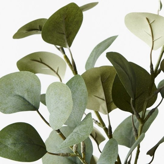 Eucalyptus Spray 40cm / Green Grey