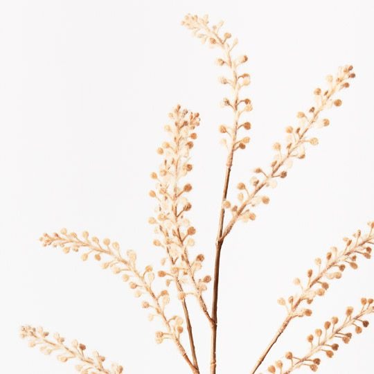 Peppergrass Spray 93cm / Sand