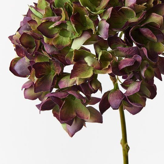 Hydrangea 47cm / Burgundy Green