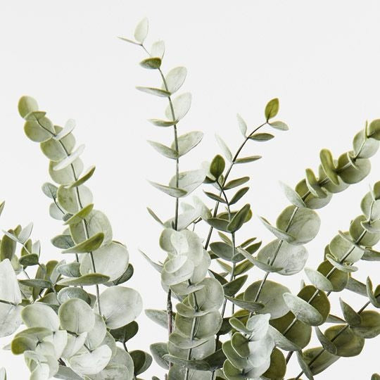 Eucalyptus Bush 56cm / Green Grey