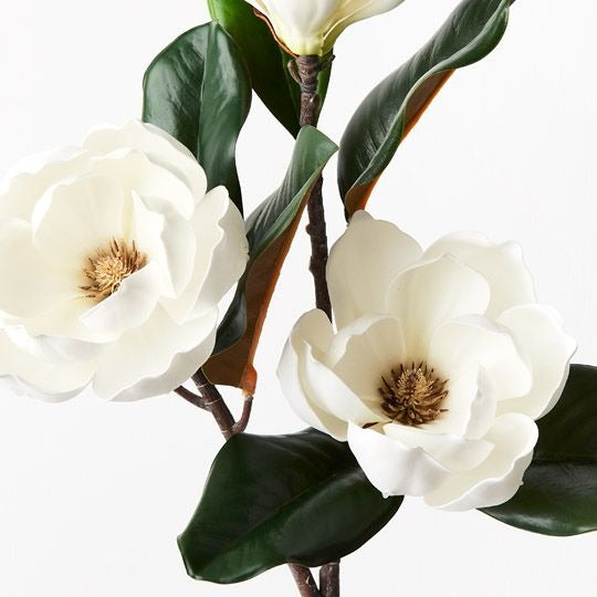 Magnolia Japanese Spray 74cm / White
