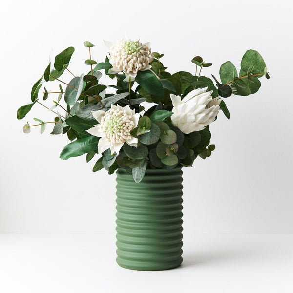 Eucalyptus Silver Dollar Bush / Green Grey 55cm