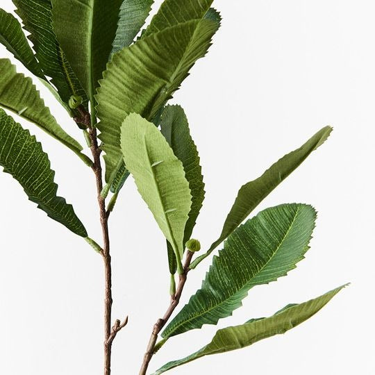 Banksia Leaf Spray 79cm