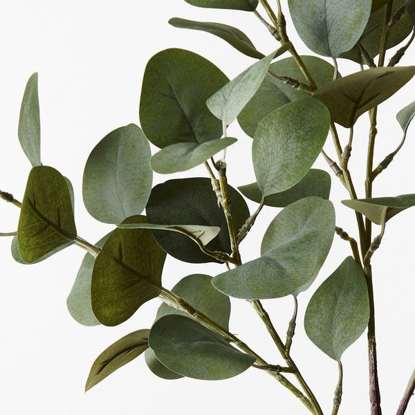 Eucalyptus Spray 74cm / Green Grey