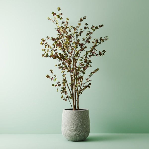 Rok Oskar Pot Med / Grey