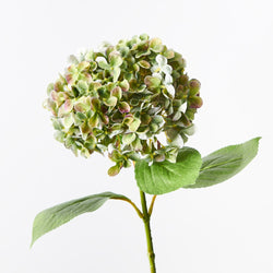 Hydrangea 68cm / Green Purple