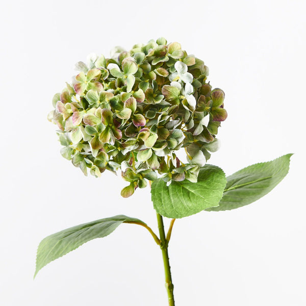 Hydrangea 68cm / Green Purple