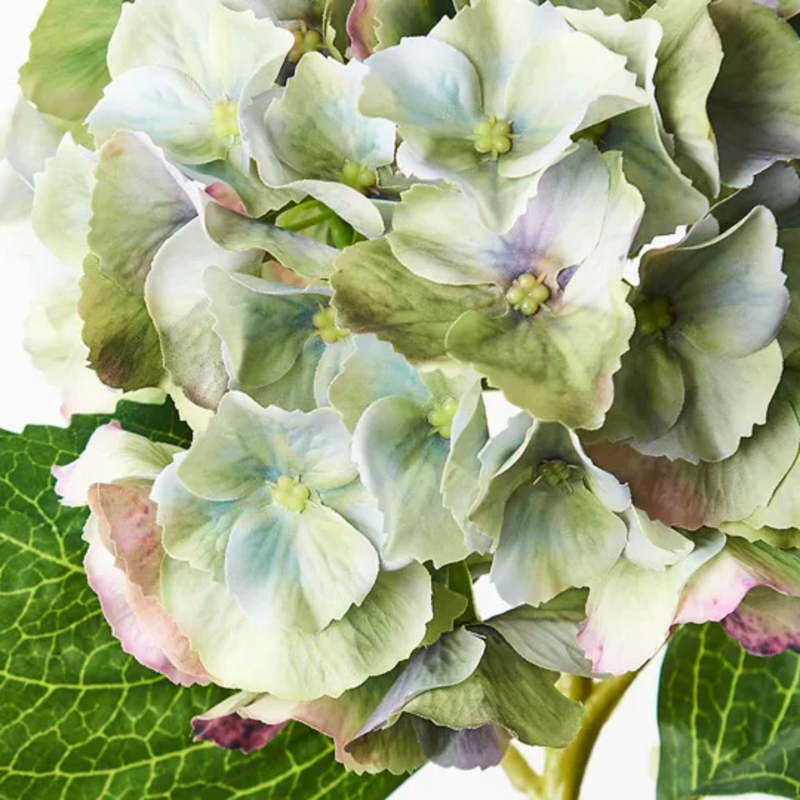 Hydrangea 52cm / Green Burgundy