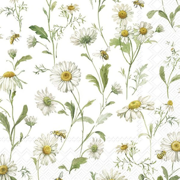 Cocktail Napkins / Daisies on White