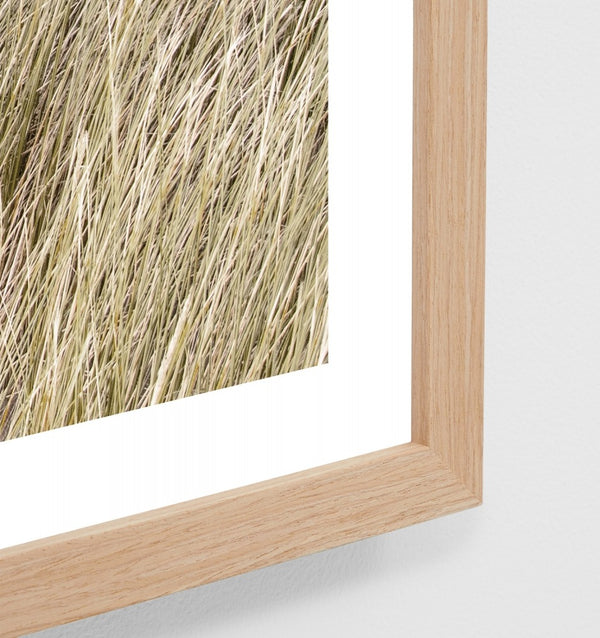 Sunrise Dunes Print 122 x 87cm