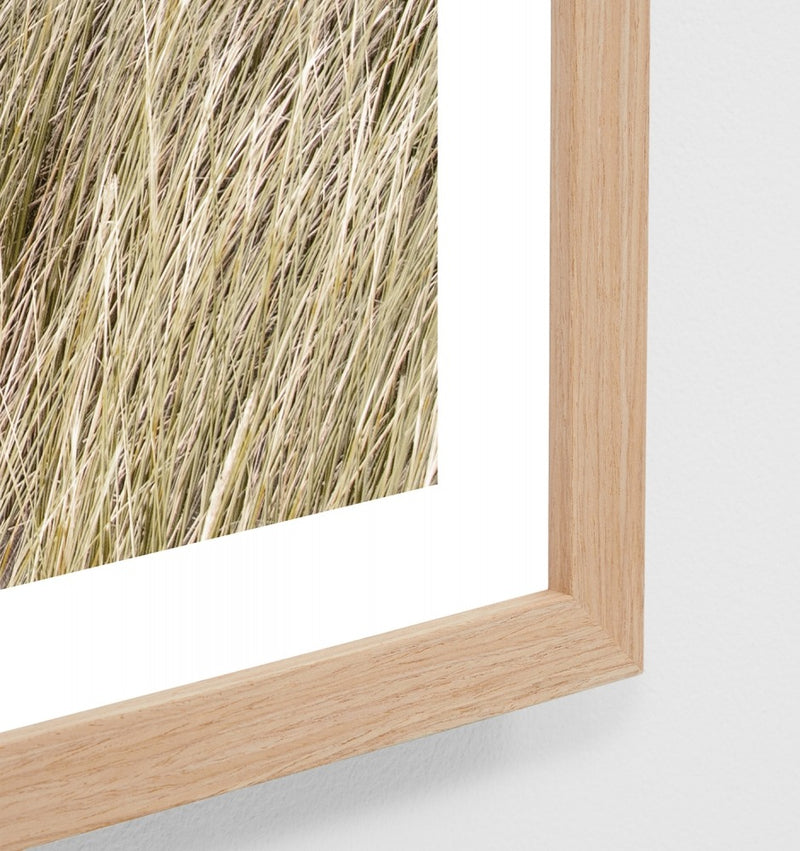 Sunrise Dunes Print 122 x 87cm