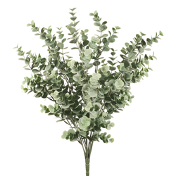 Eucalyptus Bush /Grey Green