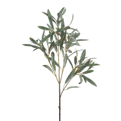 Olive Leaf Spray 73cm / Grey Green
