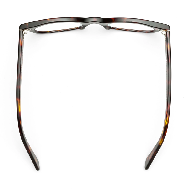 BIXBY Reading Glasses  / Turtle Gloss