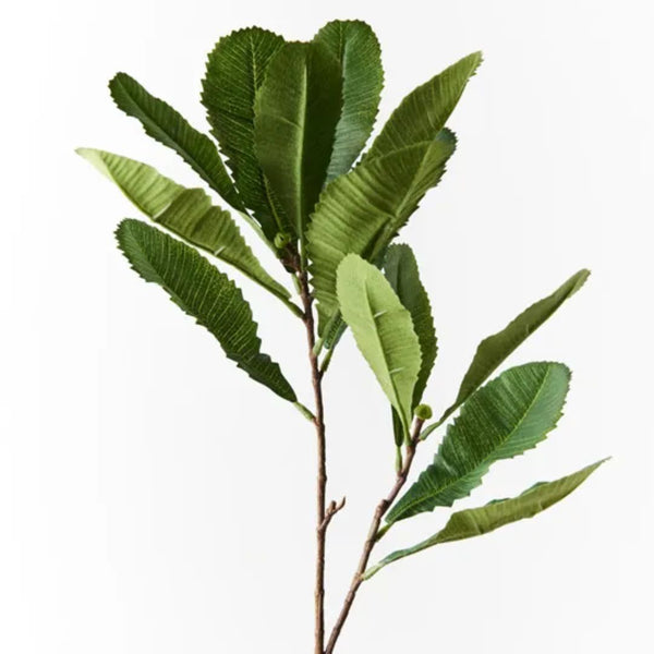 Banksia Leaf Spray 79cm