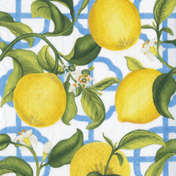 Lunch Napkins / NY Botanical Garden Seville