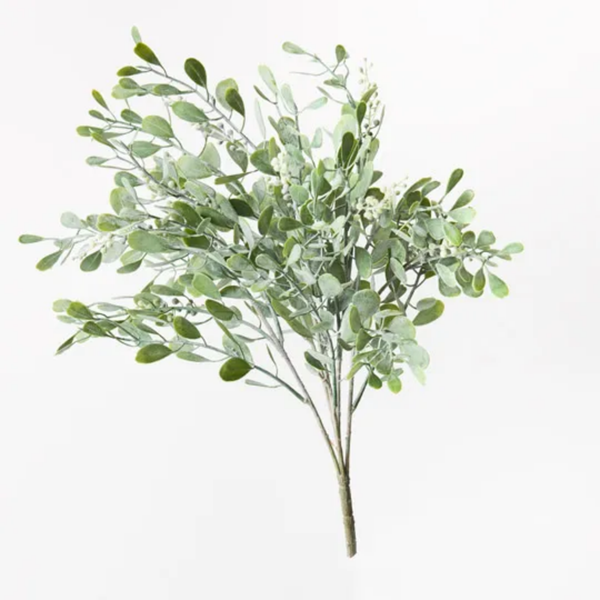Boxwood Berry Bush 51cm / Grey Green