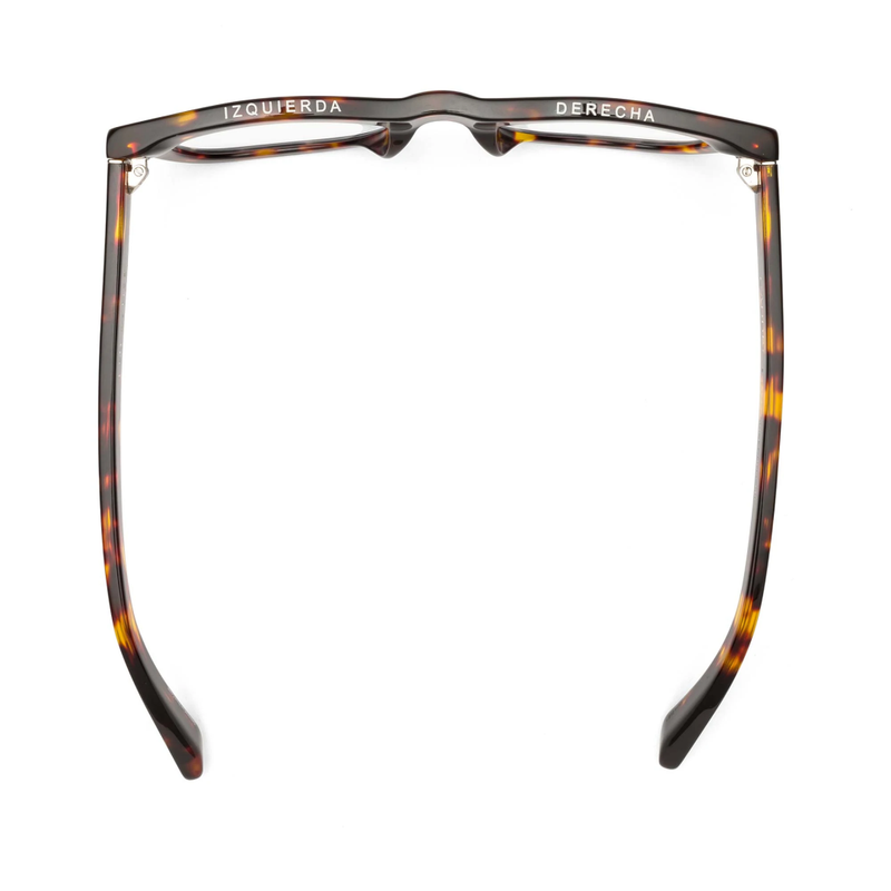 D28  Reading Glasses / Turtle Gloss