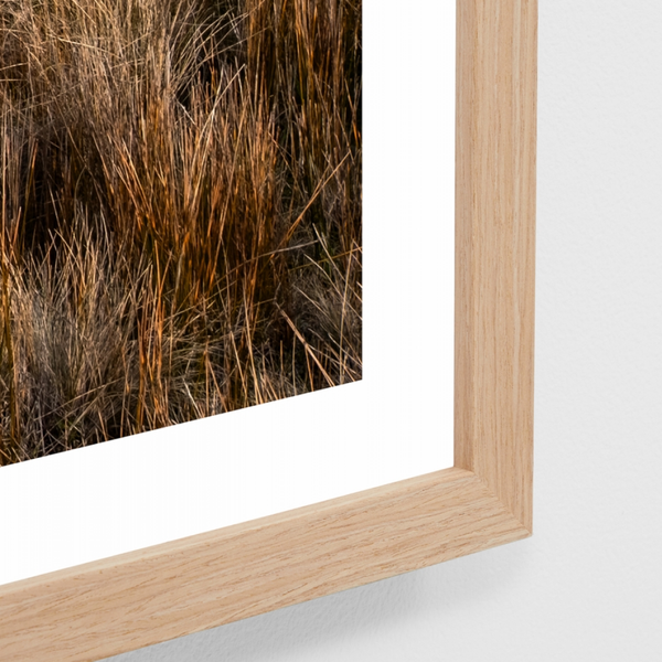 Coastal Hike Print / 122 x 87cm