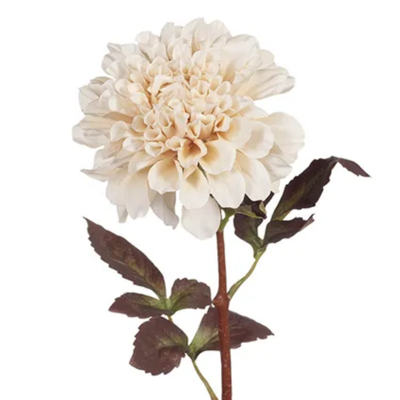 Dahlia 57cm / Ivory