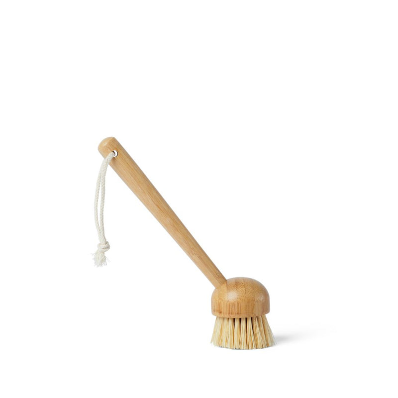 Dish Brush