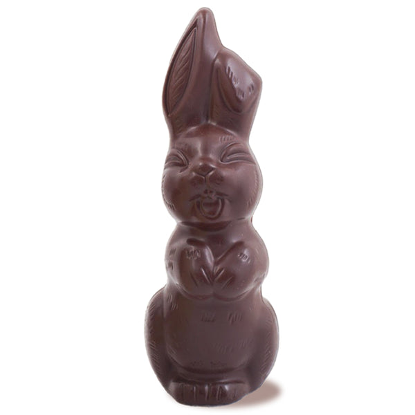 Chocolate Bunny Small / Milk
